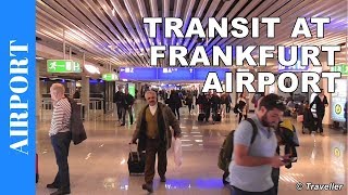 TRANSIT WALK AT FRANKFURT Airport FRA Terminal 1  Connection Flight Transfer Arriving amp Departing [upl. by Grussing]